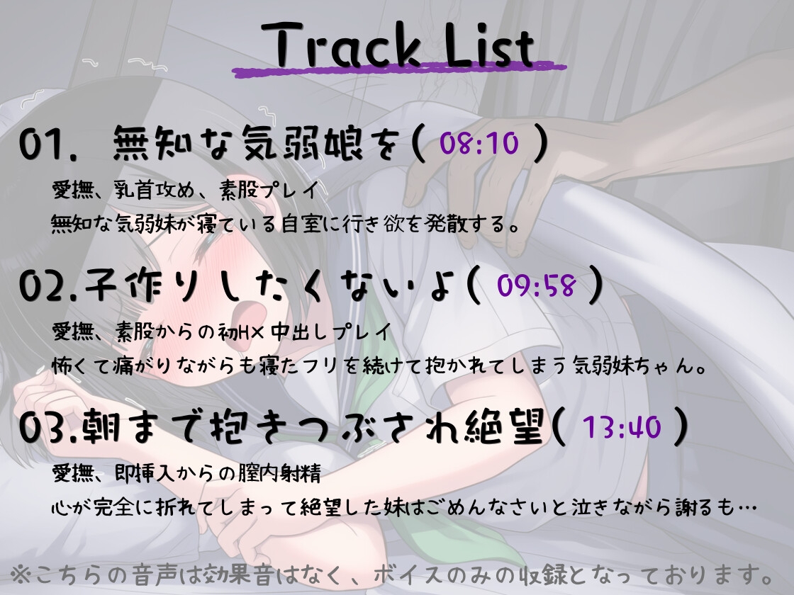 『だめだよ、お兄ちゃんっ!』が言えなくて。~気弱っ娘に夜通しレイプでどぷどぷ膣内射精~ サンプル2