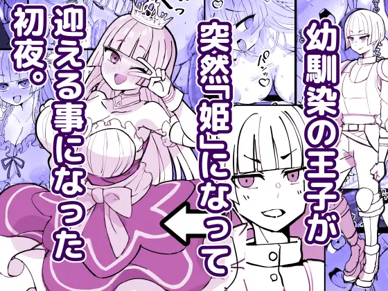 幼馴染の王子が突然「姫」になって迎える事になった初夜。 ジャケット画像