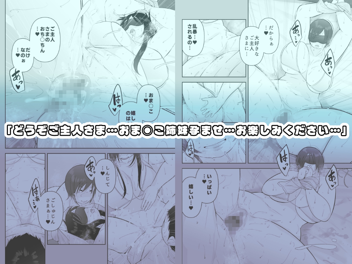 妻と義妹、孕ませ希望。 [くるるるる] | DLsite 5