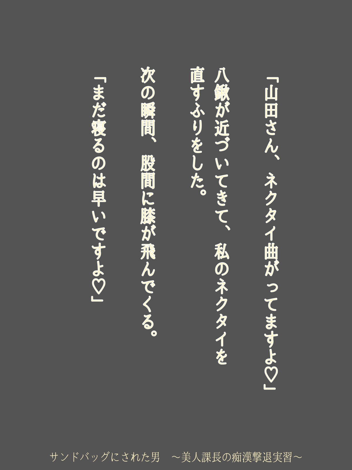 サンドバッグにされた男 ～美人課長の痴○撃退実習～