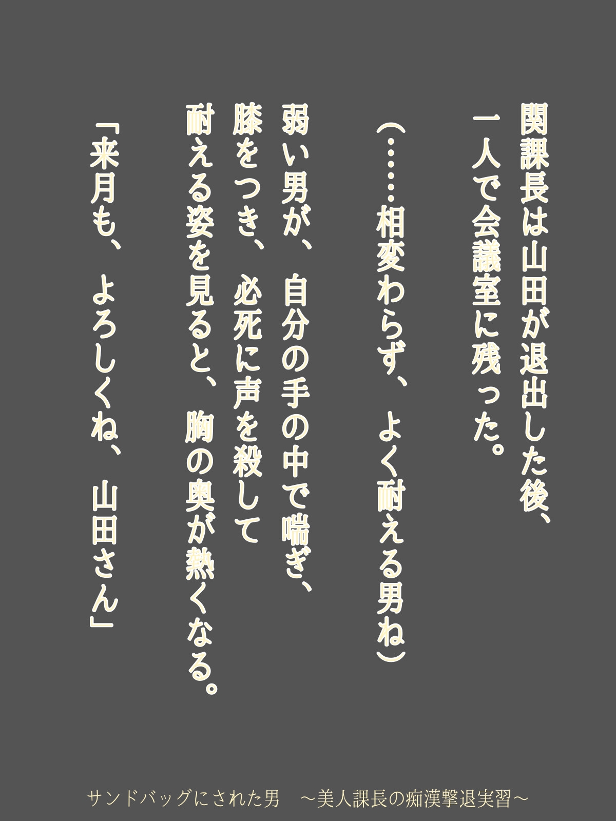 サンドバッグにされた男 ～美人課長の痴○撃退実習～