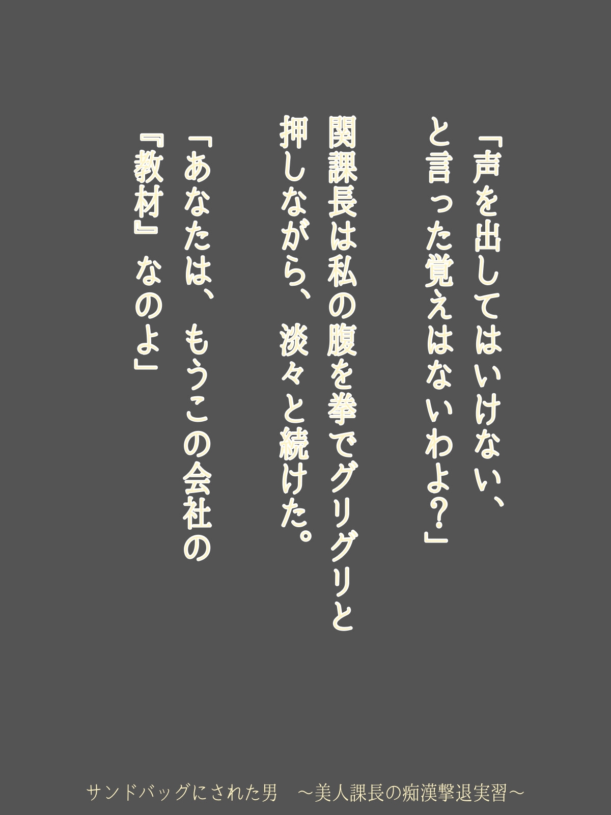 サンドバッグにされた男 ～美人課長の痴○撃退実習～