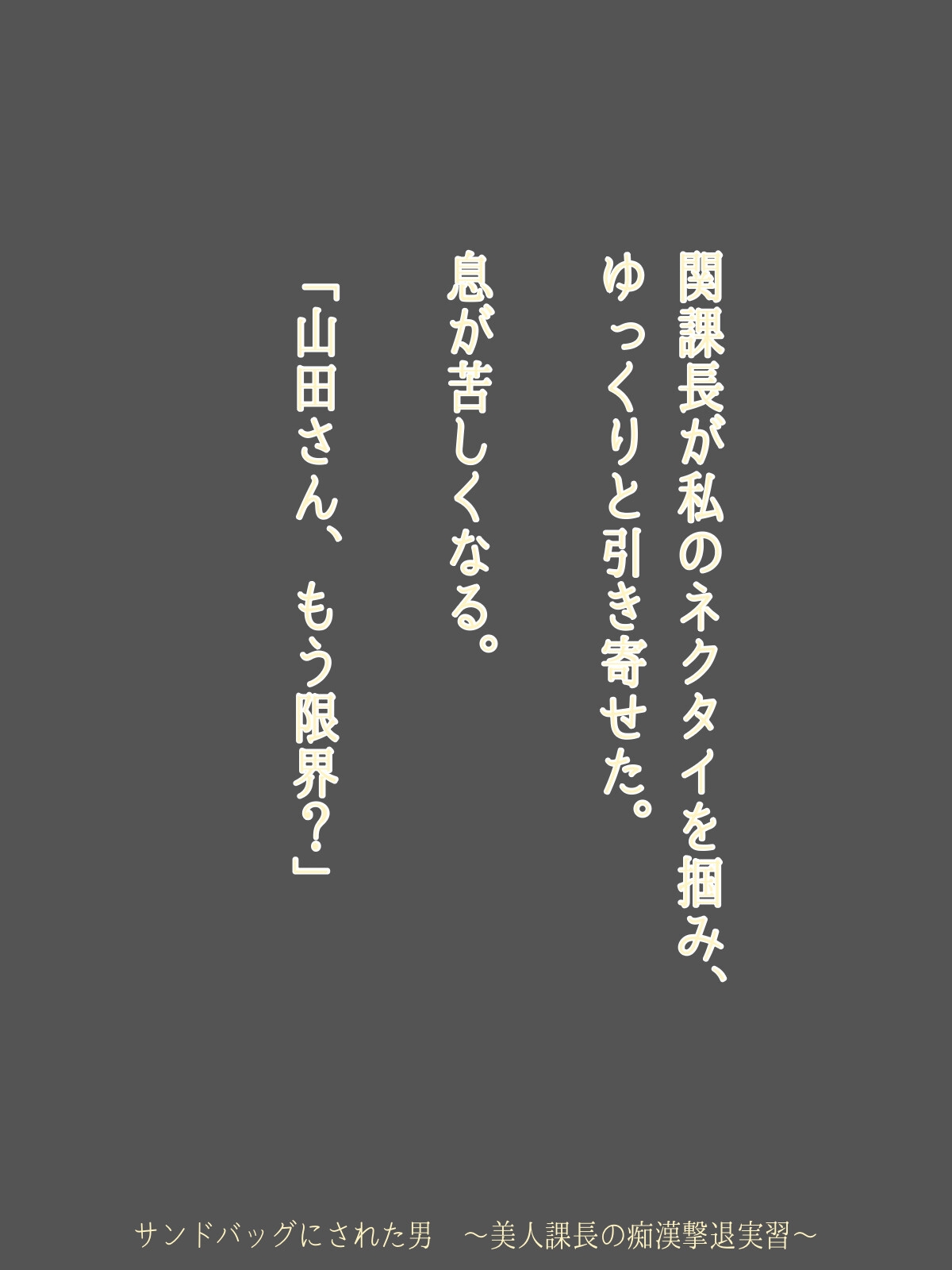 サンドバッグにされた男 ～美人課長の痴○撃退実習～