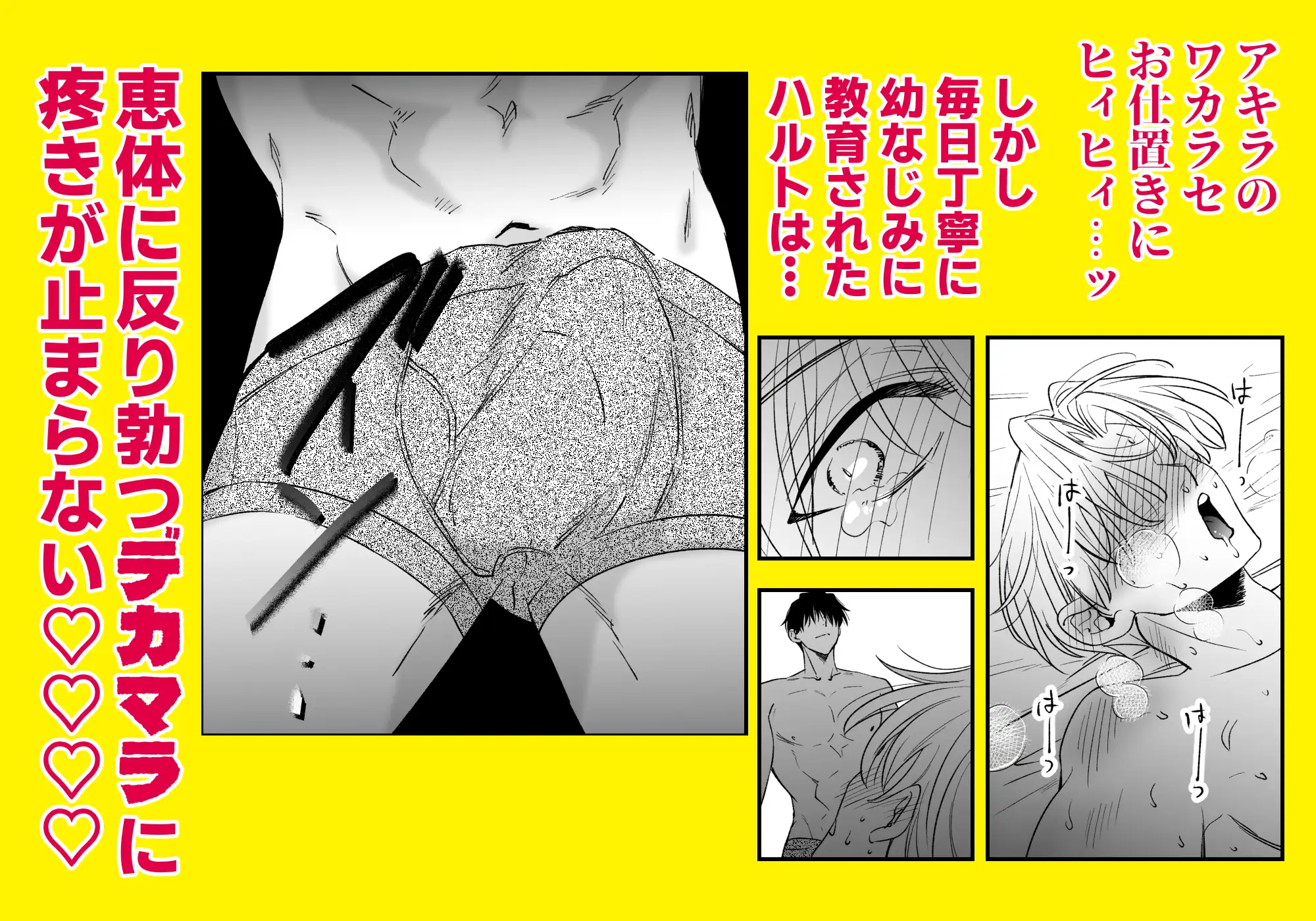サンプル画像6