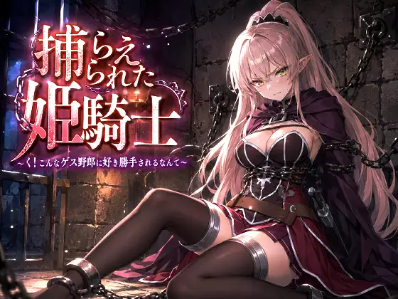 捕らえられた姫騎士〜く！こんなゲス野郎に好き勝手されるなんて〜 ジャケット画像