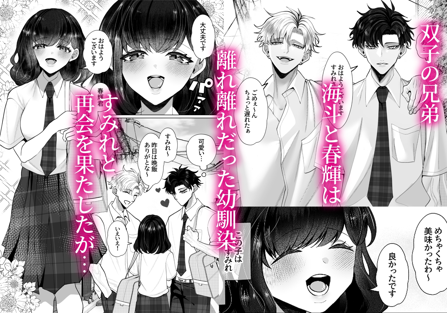 初めての…~執着溺愛が凄い双子幼馴染~ 画像1