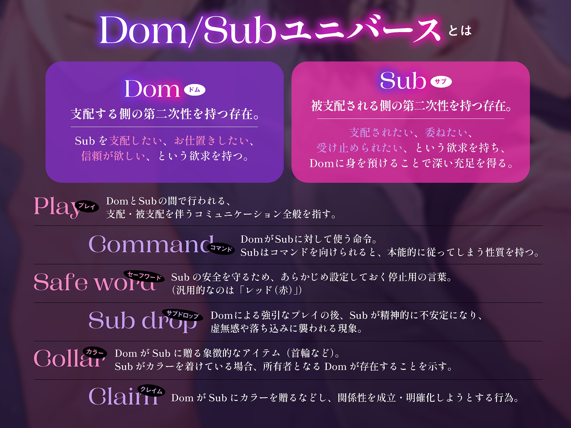 Dom/Subシェアハウスへようこそ ~支配と溺愛の調教プレイ~-2画像