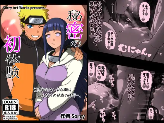 秘密の初体験 ジャケット画像