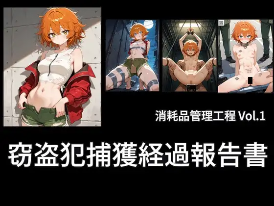 窃盗犯捕獲経過報告書 ジャケット画像