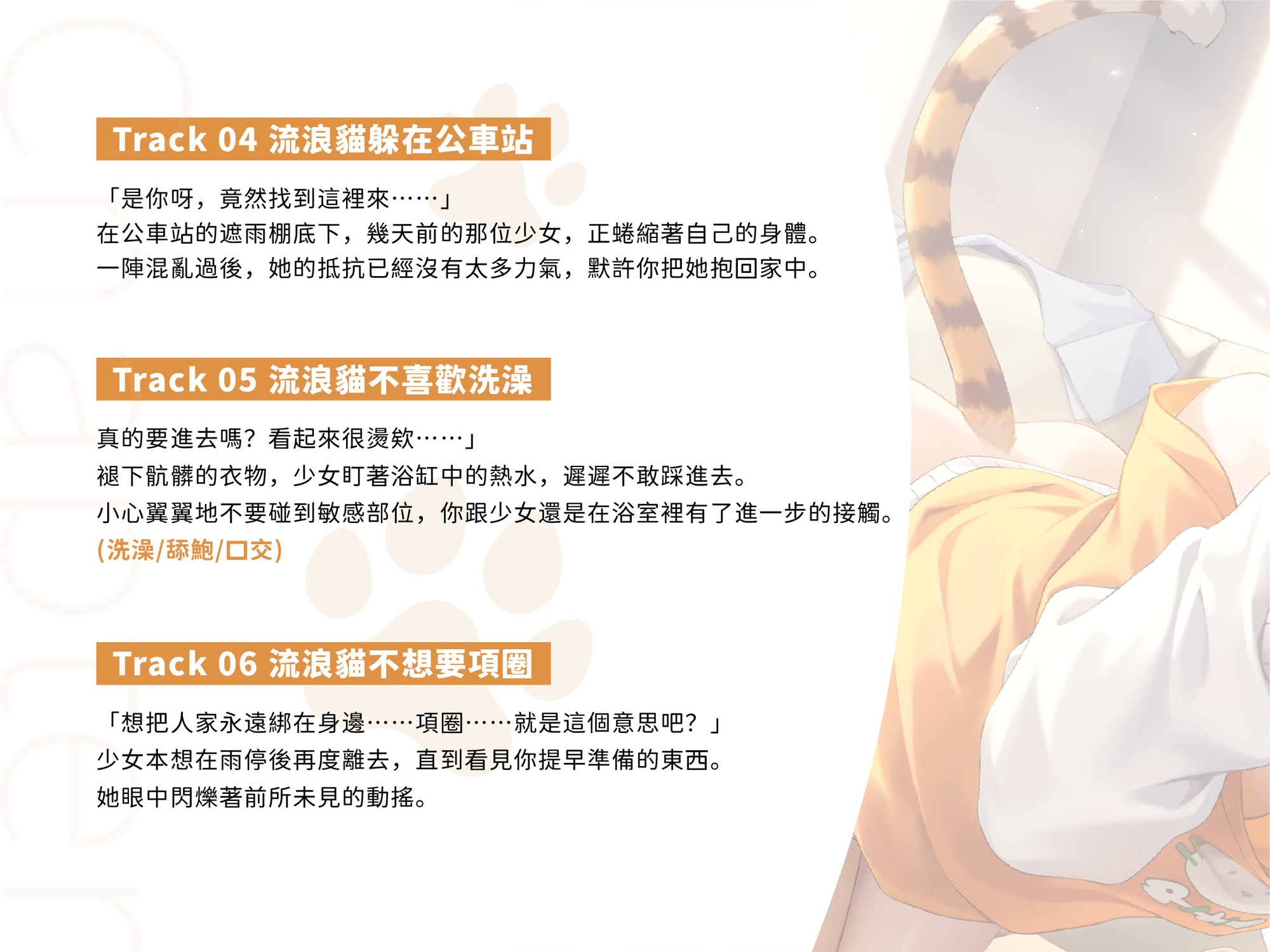 【收編貓娘】流浪貓不想要項圈【中文音聲】 サンプル4
