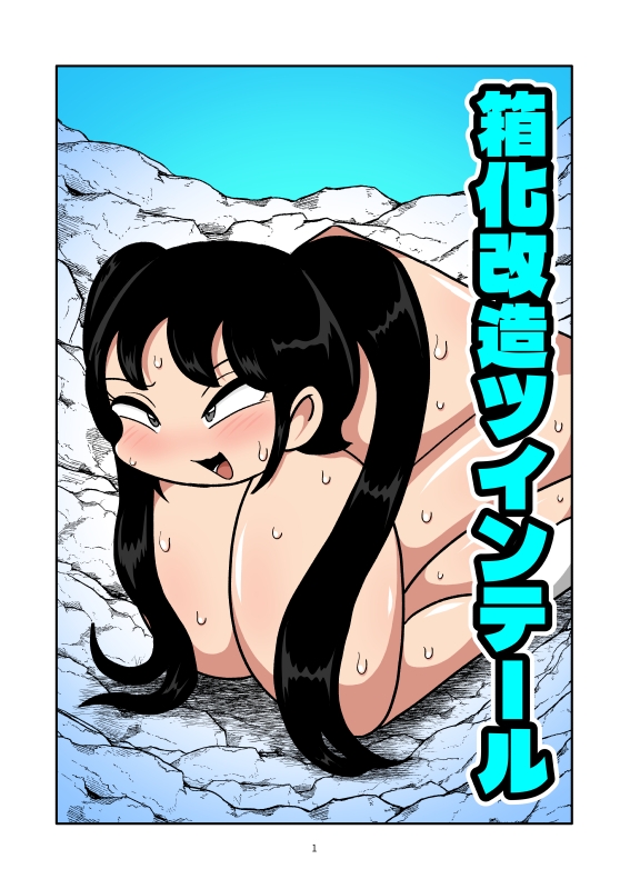 箱化改造ツインテール 画像1