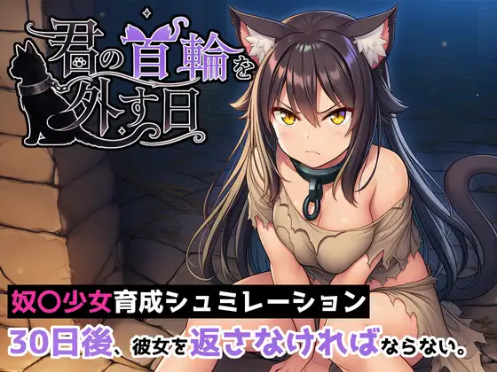 君の首輪を外す日 ジャケット画像