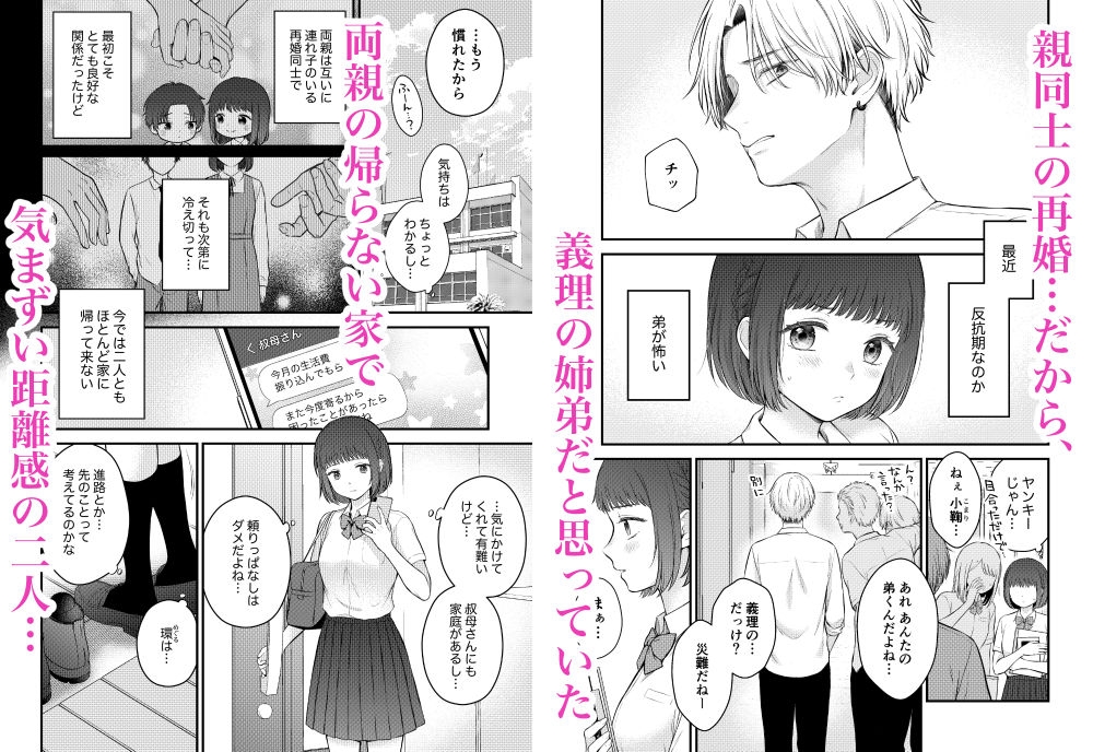 ツンギレ弟は姉ちゃんと繋がりたい 画像1