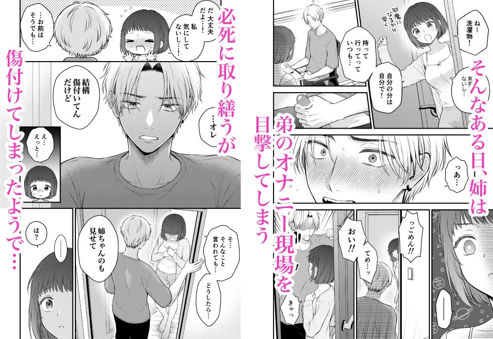 ツンギレ弟は姉ちゃんと繋がりたい 画像2