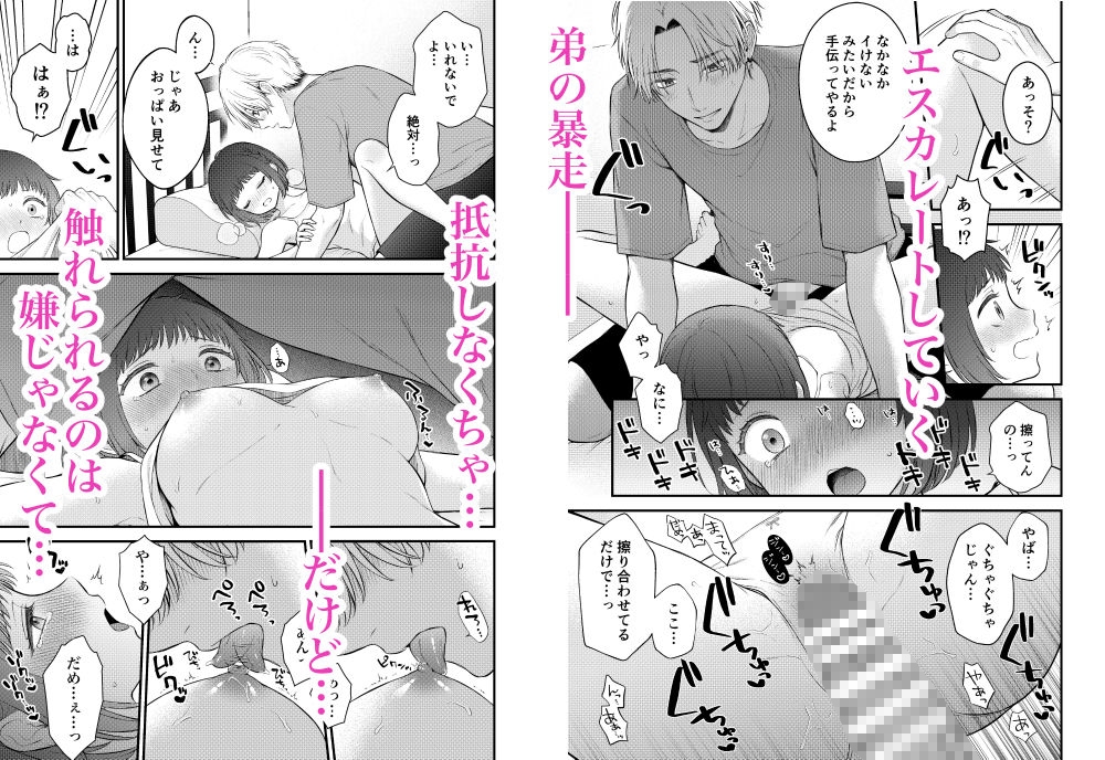 ツンギレ弟は姉ちゃんと繋がりたい 画像4