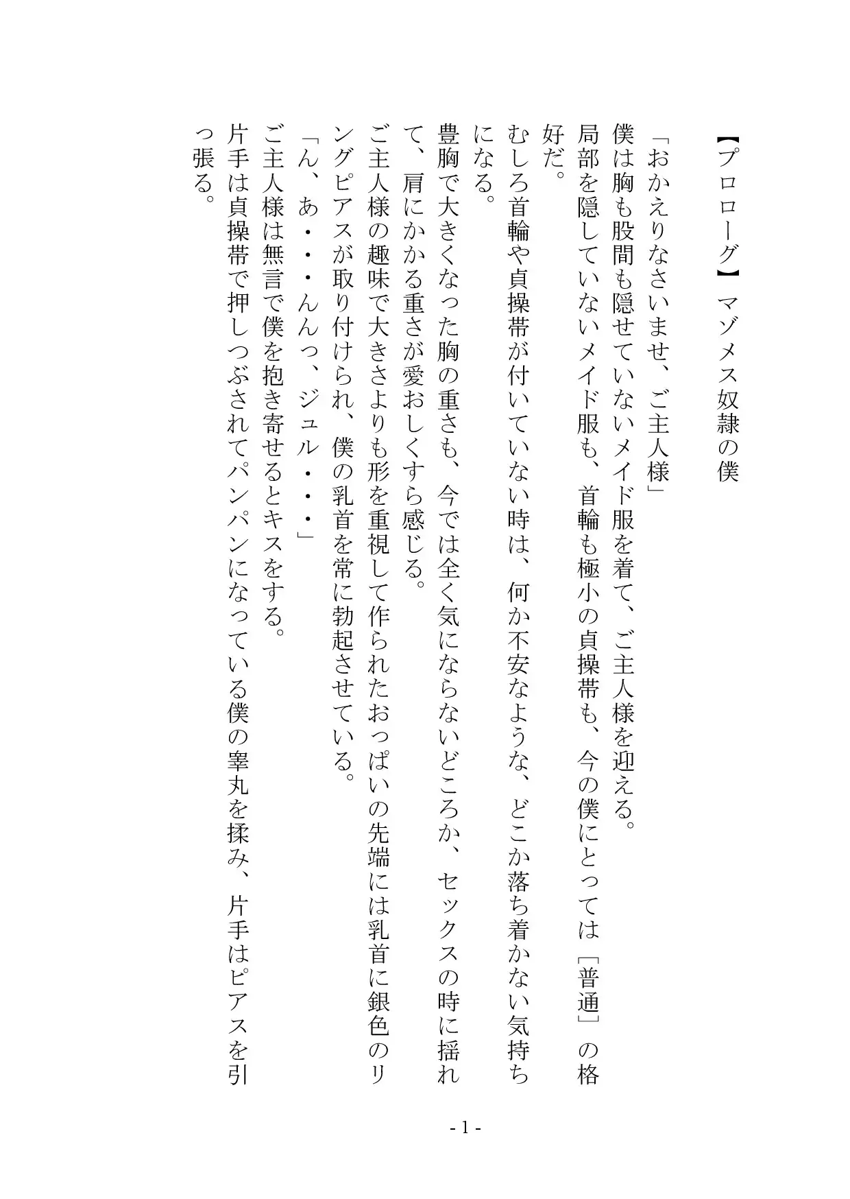 【小説+おまけイラスト7枚】僕はマゾメス奴隷I サンプル画像 2