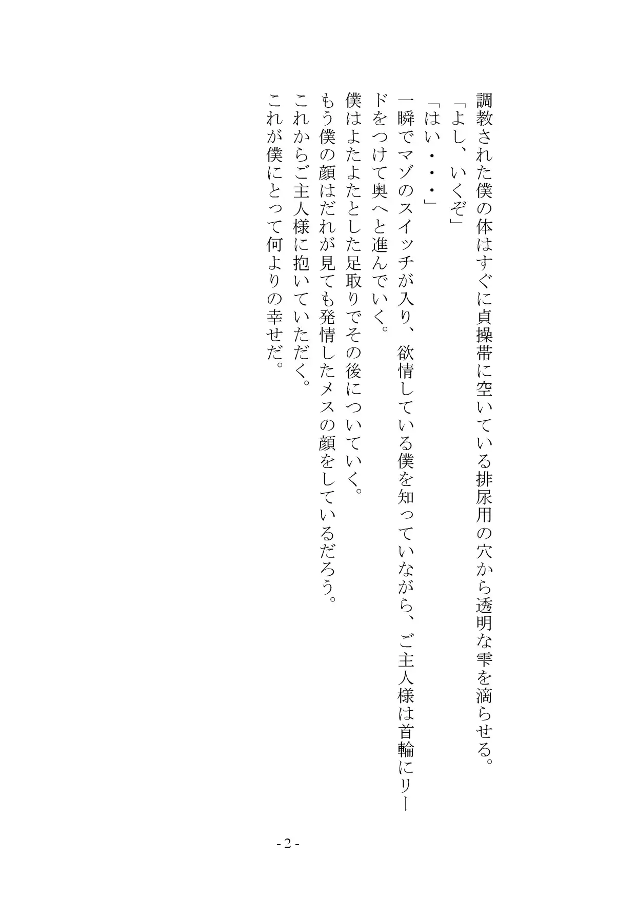 【小説+おまけイラスト7枚】僕はマゾメス奴隷I サンプル画像 3