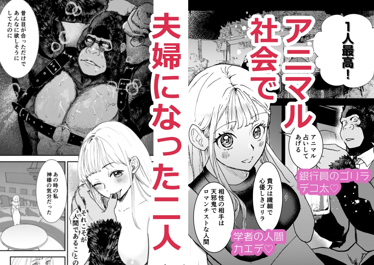 私の夫はゴリラ 画像1