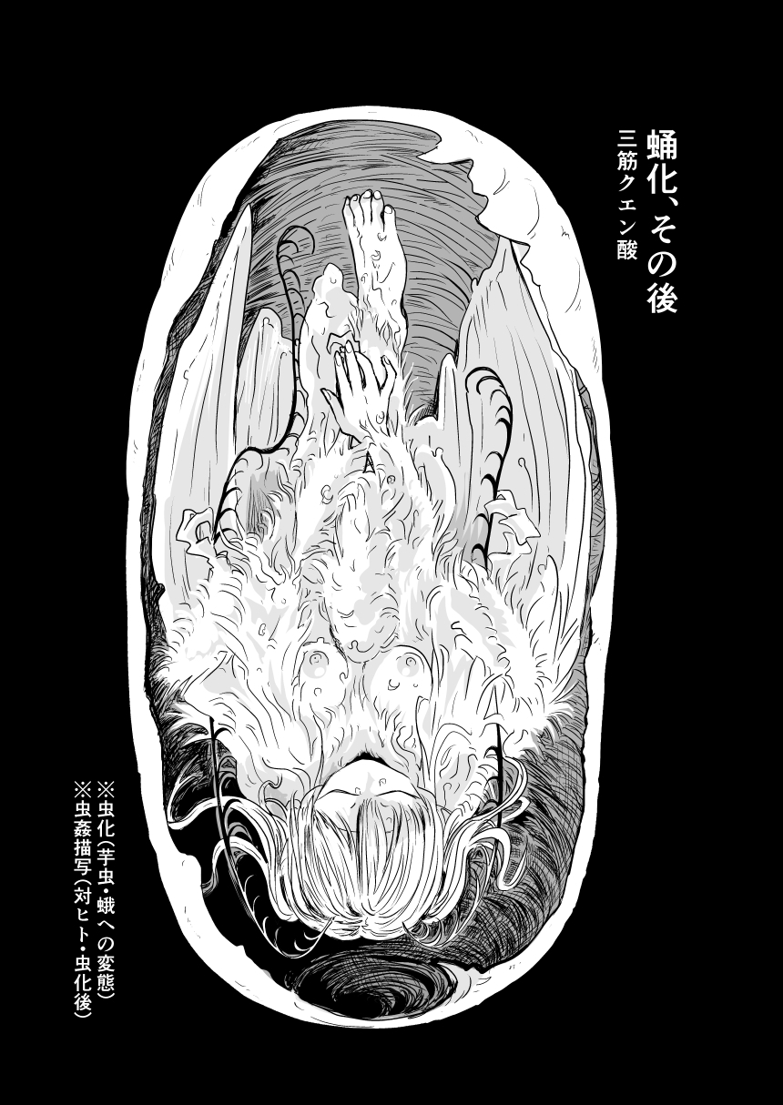 蛹化、その後 画像1