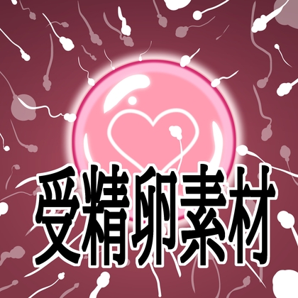 受精卵素材 ジャケット画像