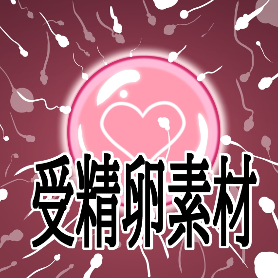 受精卵素材 サンプル1