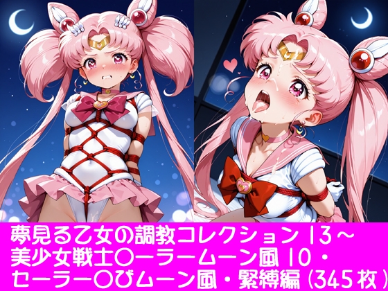 夢見る乙女の調教コレクション13～美少女戦士〇ーラームーン風10・ちび〇さ風・緊縛編