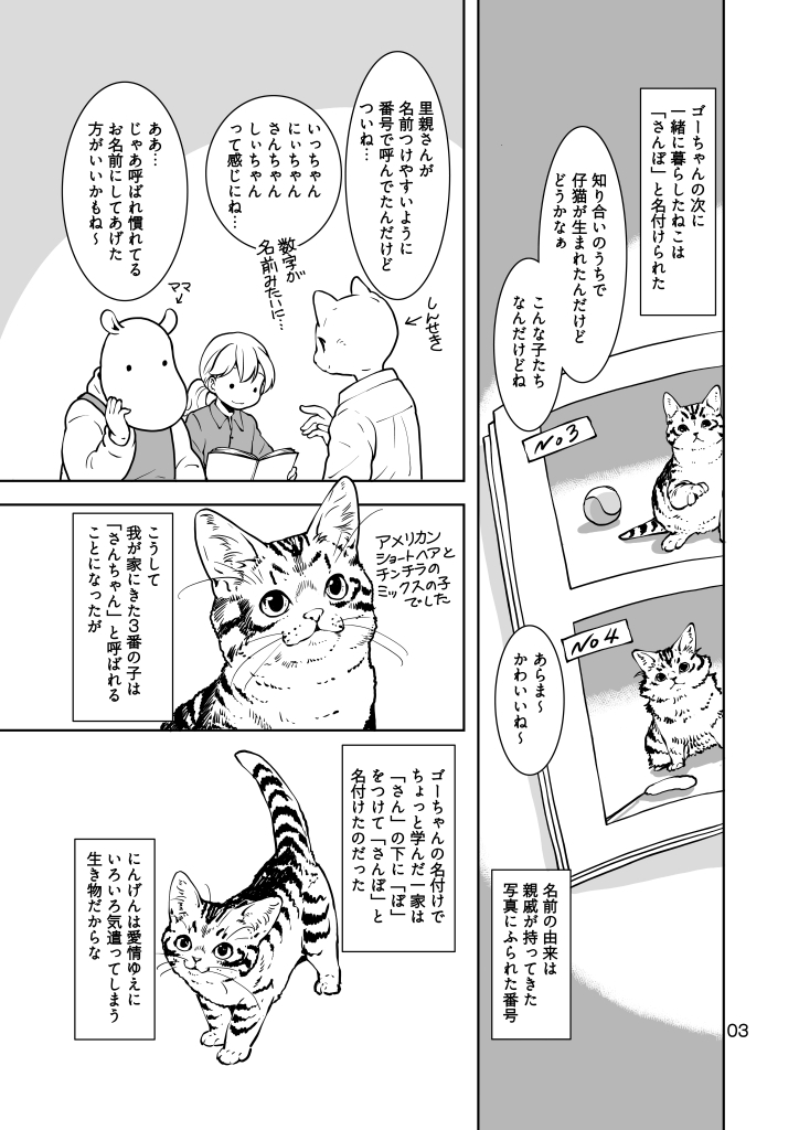 ねこのあれこれ サンプル3