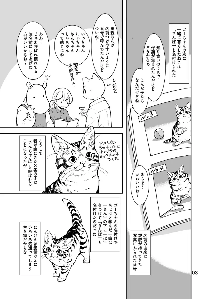 ねこのあれこれ サンプル画像 3