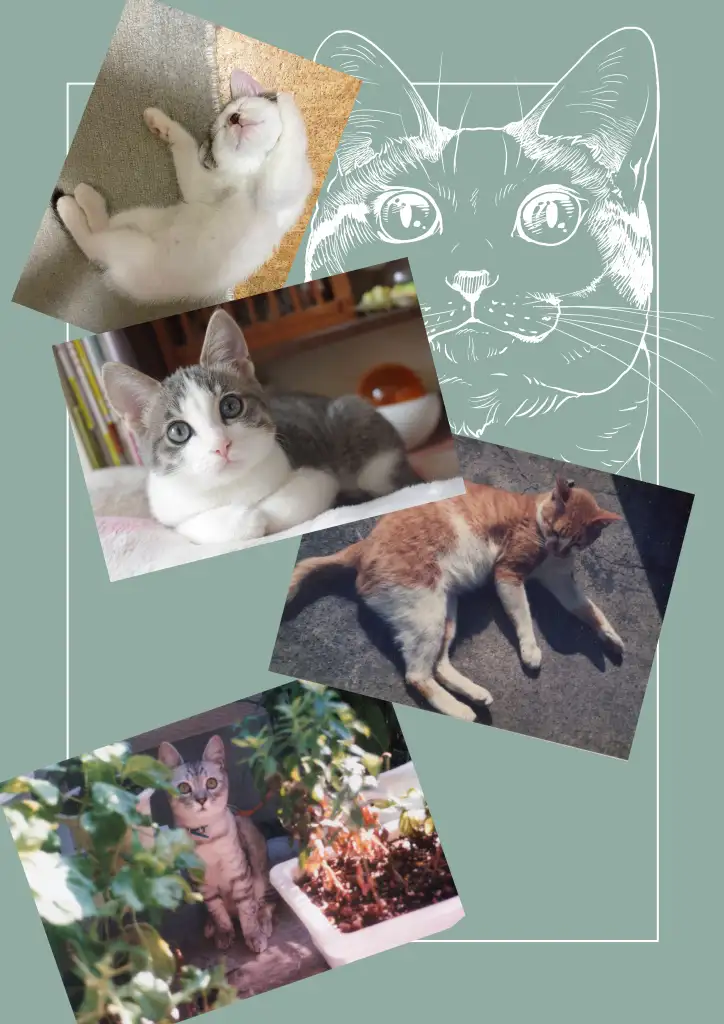 ねこのあれこれ サンプル画像 8