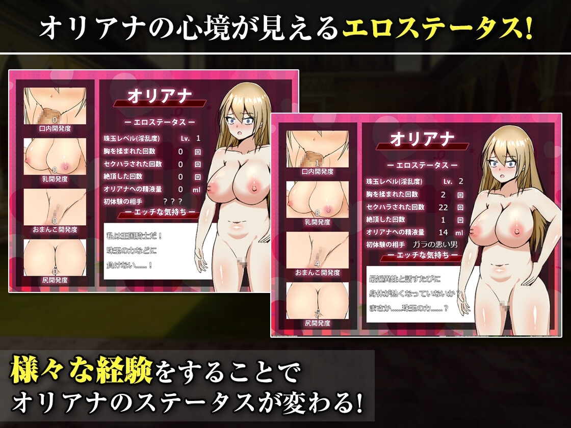 【スマホ版】王国の勇騎士オリアナ サンプル5