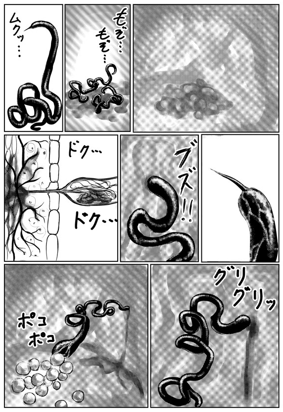 寄生虫のゆりかご 画像2