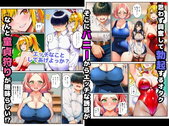 サンプル画像