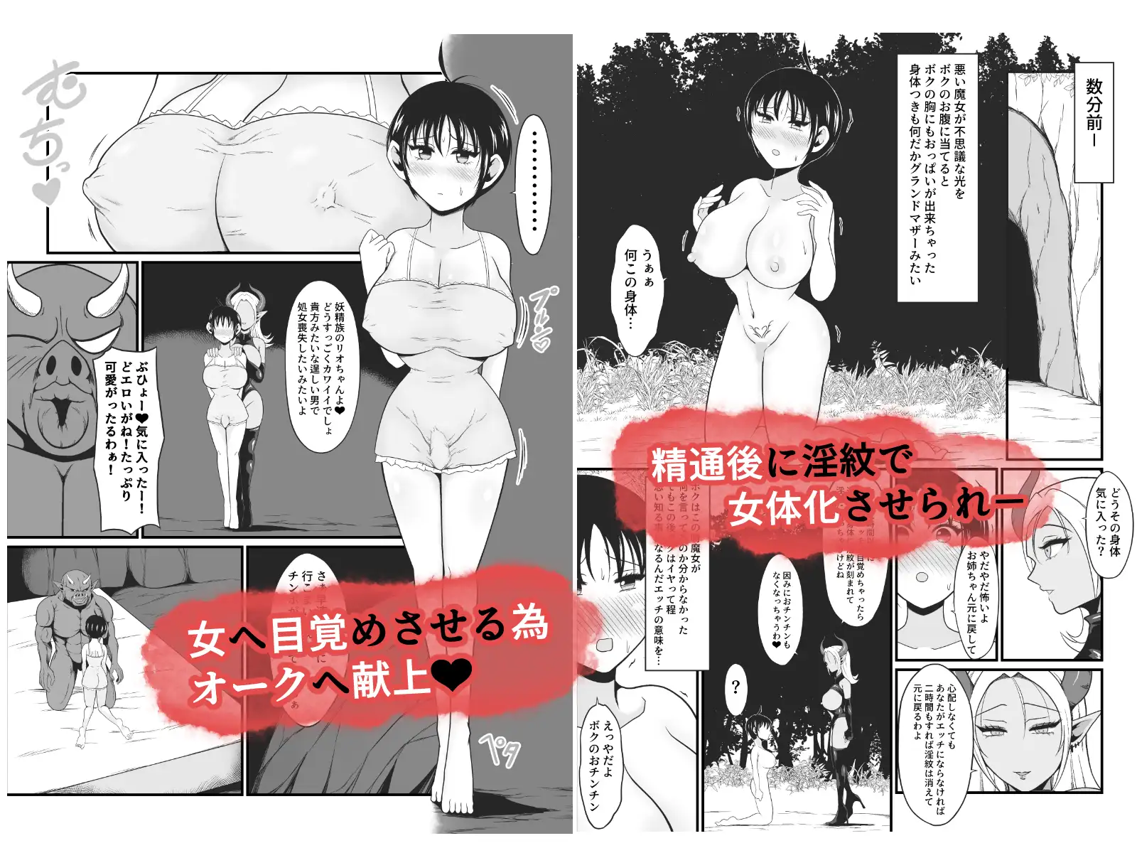 【TS悪堕ち】妖精のボクがオークのデカマラチンポに敗けてエッチな淫魔娘になっちゃうお話 サンプル画像 4
