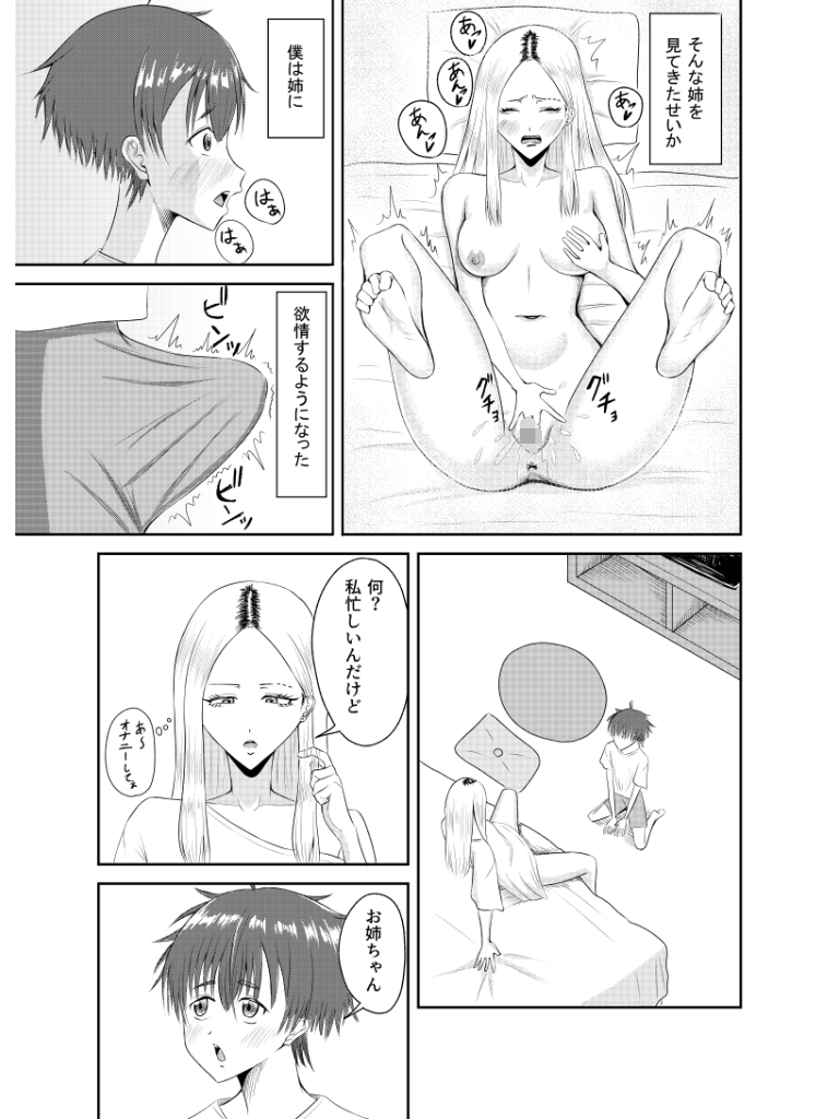 オナニー中毒の姉とエッチした 画像3