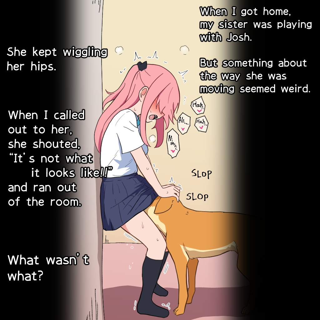 The Mystery of That Day: Supporter Collection, Episodes 1–46