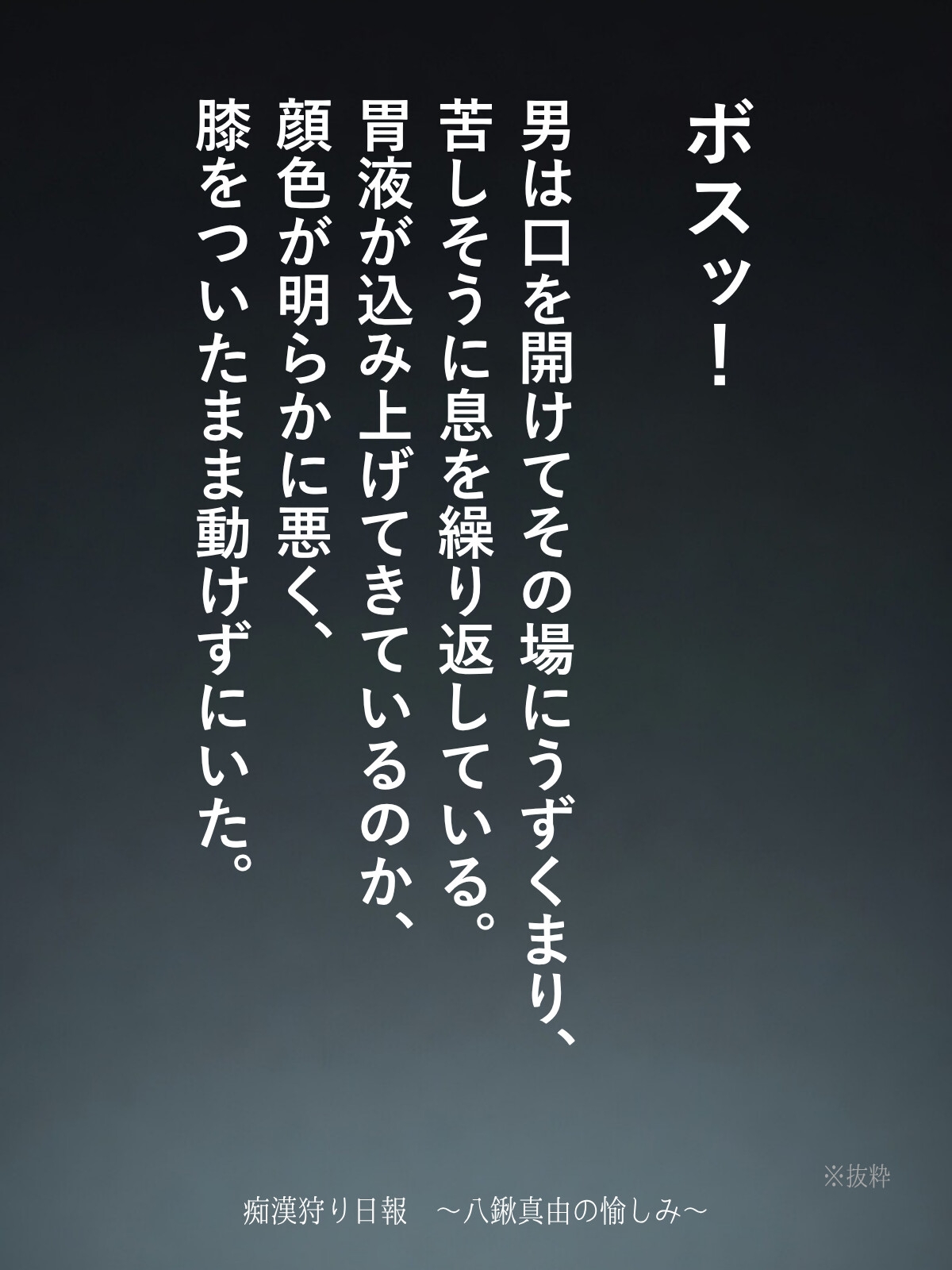 痴○狩り日報 ~八鍬真由の愉しみ~