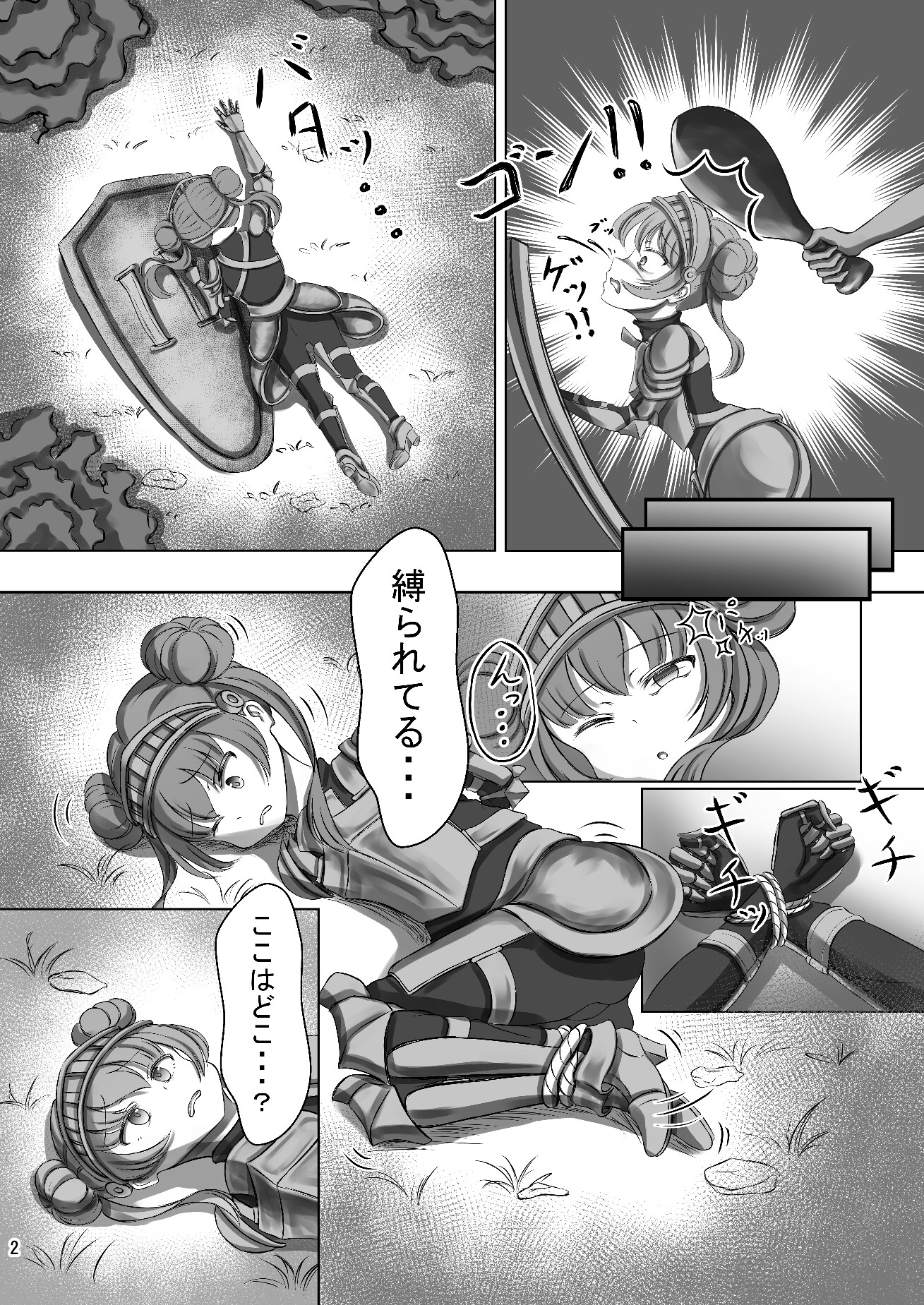 鎧の丸焼き 画像2