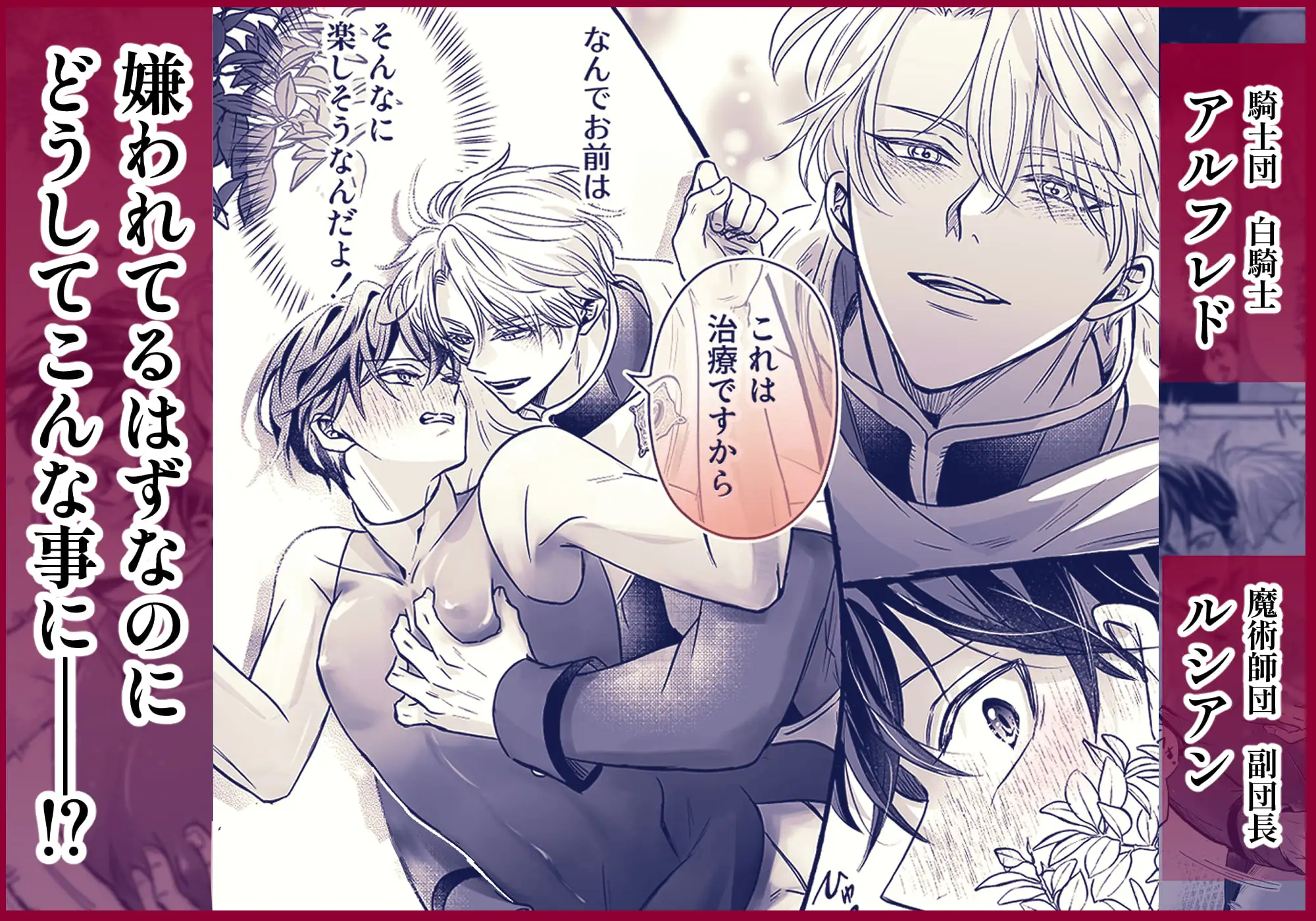 これは治療です ～嫌われてるはずの白騎士に、治療と称して抱かれています～ サンプル画像1
