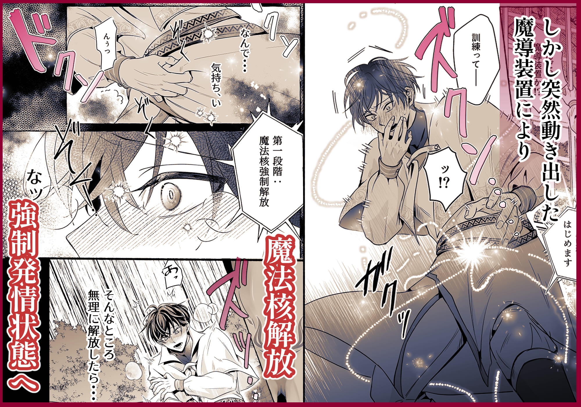 これは治療です ~嫌われてるはずの白騎士に、治療と称して抱かれています~ 画像4