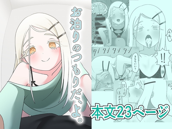 お泊りのつもりだ、よ。