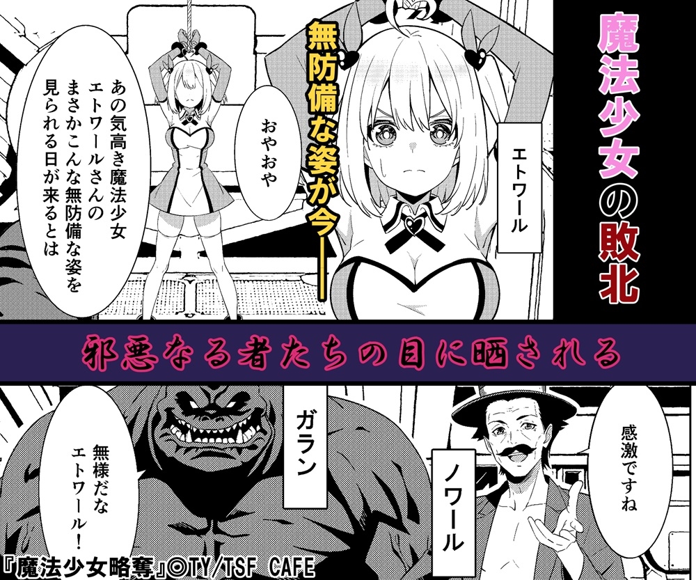 魔法少女略奪 画像2