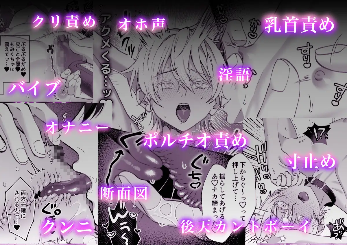 サンプル画像7