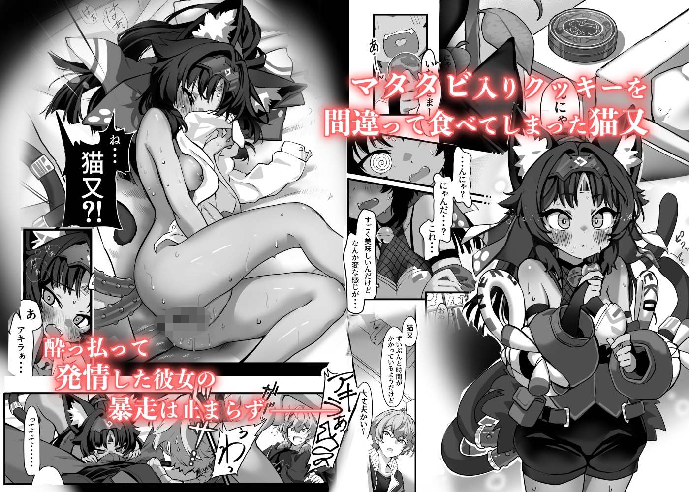 猫はマタタビの夢をみる 画像1