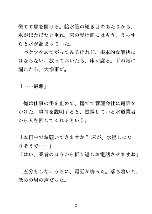 水道業者の人に自慰現場を見られて、乳首とおちんぽを執拗に責められ最後は中出しされる受け [げっか] | DLsiteがるまに 3