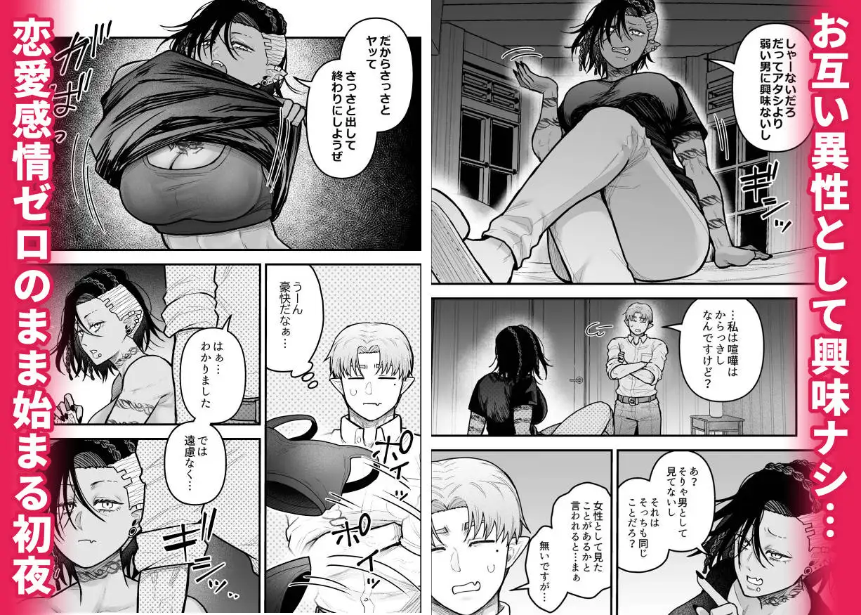 サンプル画像5