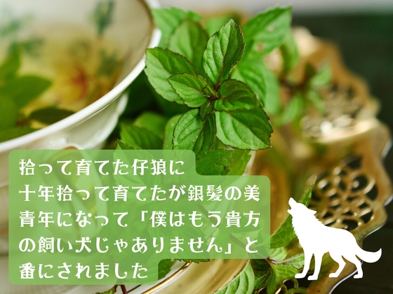 拾って育てた仔狼が銀髪の美青年になって「僕はもう貴方の飼い犬じゃありません」と番にされました