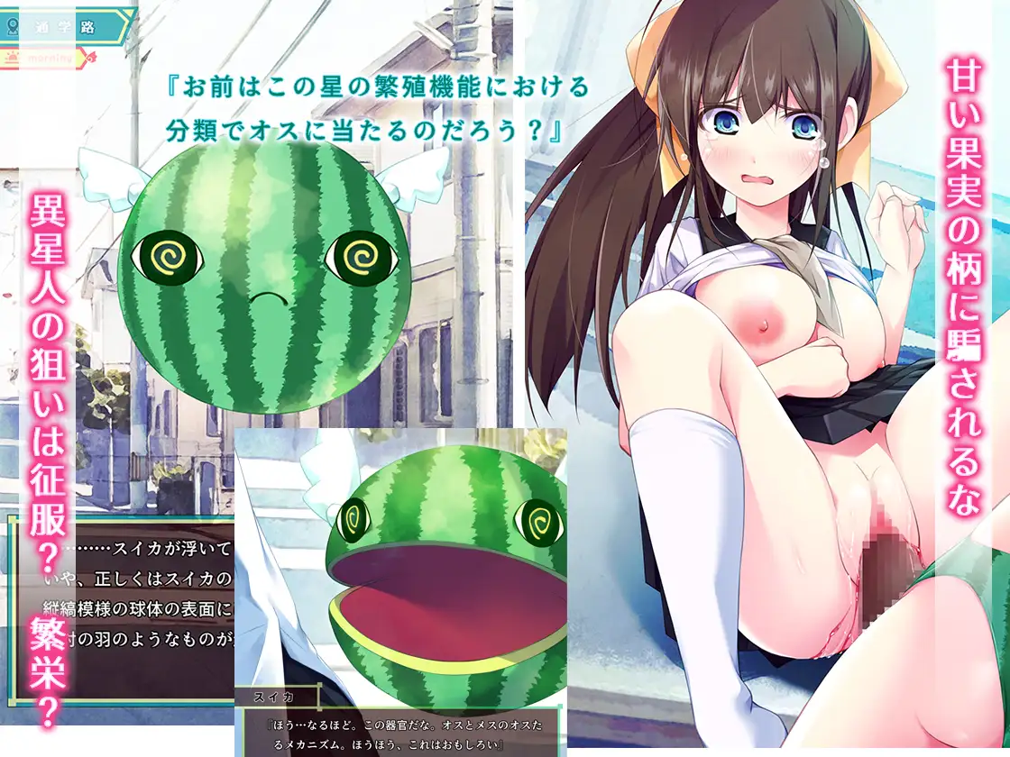 スイカパンティの侵略者 サンプル画像 2