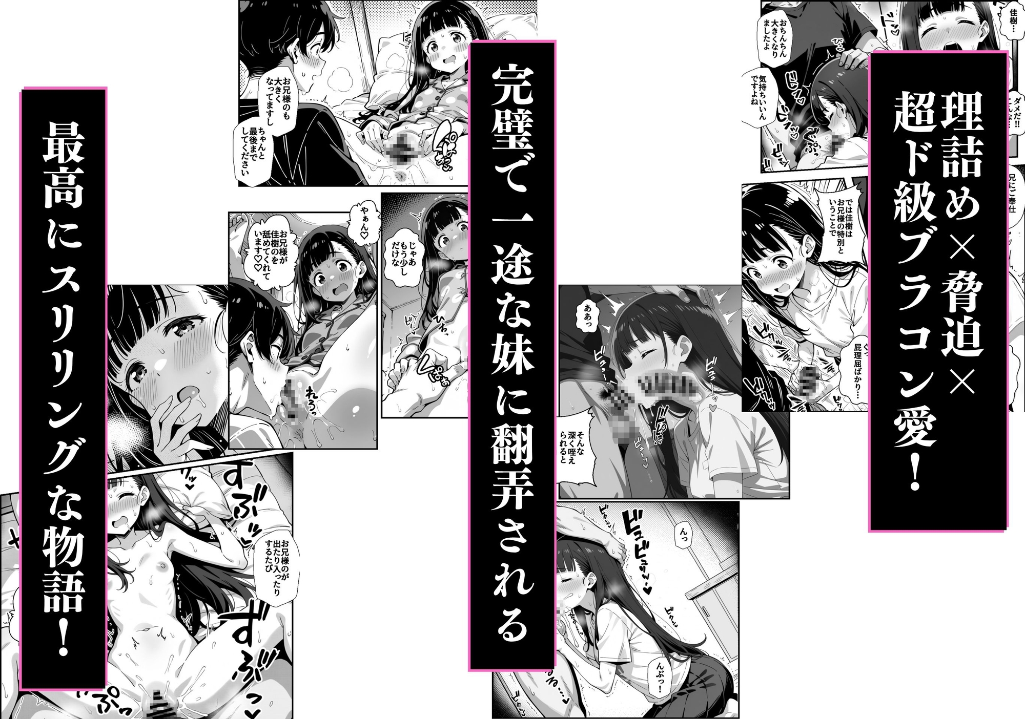 サンプル画像