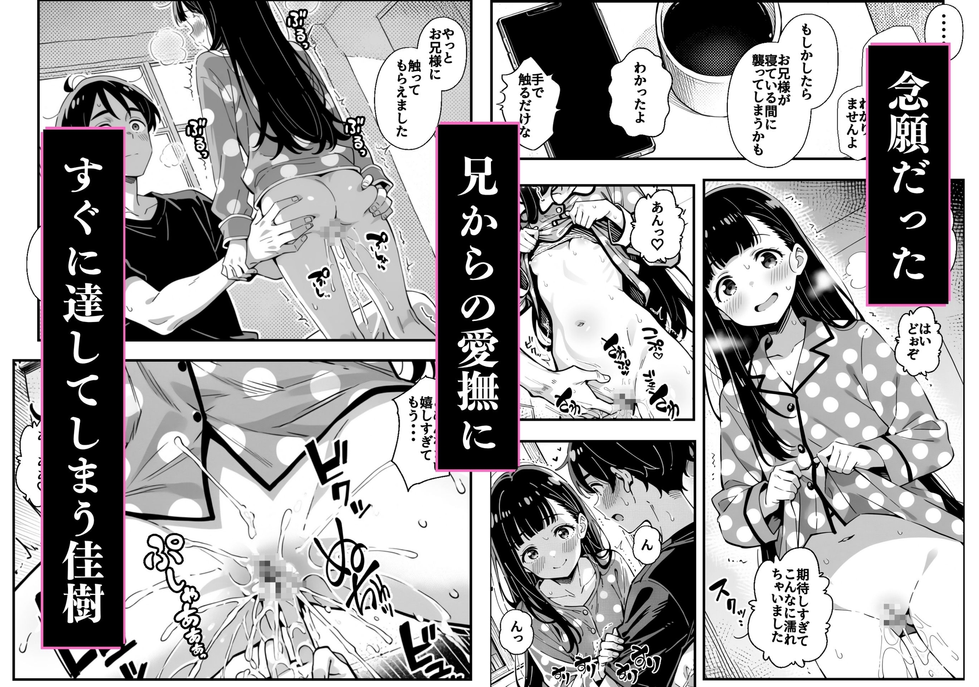 サンプル画像
