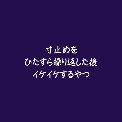 寸止めをひたすら繰り返した後イケイケするやつ